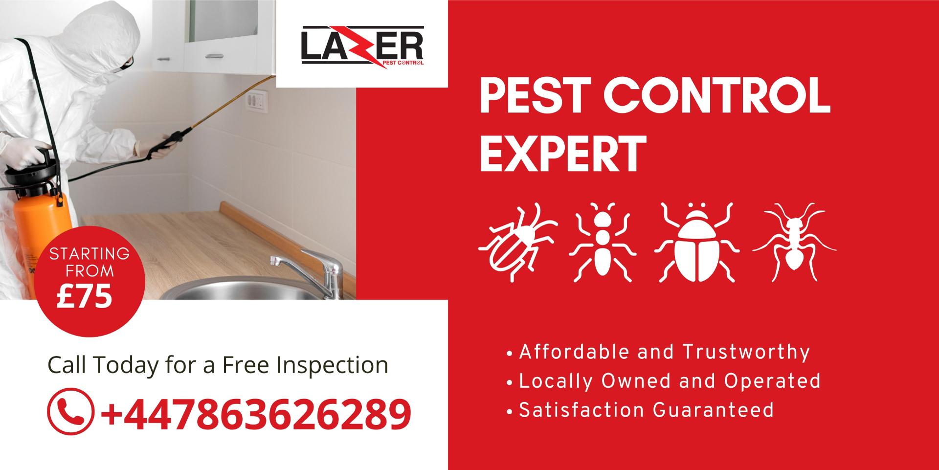 Blog And Offers - Lazer Pest Control London